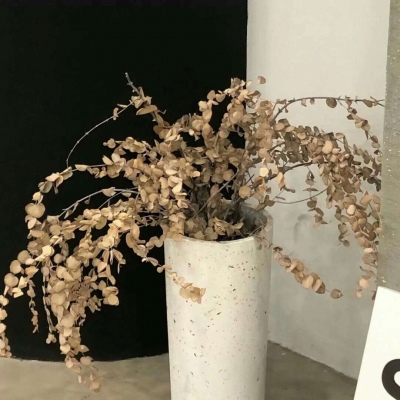 兽设火山场景设计FurryQQ群